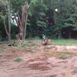 Photo #8: STORM CLEANUP-Tree & Stump Removal