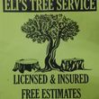 Photo #1: Eli's Tree Service