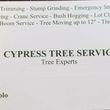 Photo #1: ***CYPRESS TREE SERVICES***