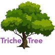 Photo #3: 🌳TRICHE TREE🌳 Louisiana Licensed Arborist - Insured
