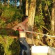 Photo #6: Yard Work, Tree Trimming, Sprinkler Installation $10 per hour