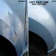 Photo #22: Paintless-Dent-Repair for Dents/Dings/Hail/Bumpers