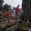 Photo #7: AL'S Tree Removal & Stumpgrinding