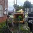 Photo #9: AL'S Tree Removal & Stumpgrinding