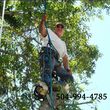 Photo #1: COMPLETE TREE REMOVAL & TRIMMING