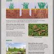 Photo #2: Lawn Aeration, Seeding, Fertilizing