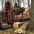 Photo #4: LICENSED & AFFORDABLE TREE SERVICE