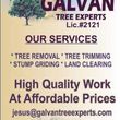 Photo #8: LICENSED & AFFORDABLE TREE SERVICE
