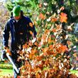 Photo #1: Yard Cleaning - Fall Cleanup - Leaf Removal