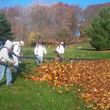 Photo #2: Yard Cleaning - Fall Cleanup - Leaf Removal