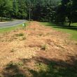 Photo #6: Stump Grinding and Root Removal