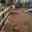 Photo #9: Stump Grinding and Root Removal