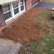 Photo #13: Stump Grinding and Root Removal