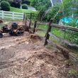 Photo #15: Stump Grinding and Root Removal