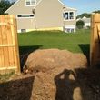 Photo #16: Stump Grinding and Root Removal