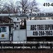 Photo #13: ABC TREE  EXPERTS.. removal, , all aspects of tree service -