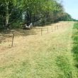 Photo #5: Land clearing, underbrush mowing, property reclamation