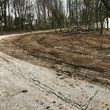Photo #8: Land clearing, underbrush mowing, property reclamation