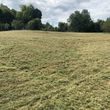 Photo #17: Land clearing, underbrush mowing, property reclamation
