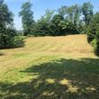 Photo #18: Land clearing, underbrush mowing, property reclamation