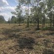 Photo #20: Land clearing, underbrush mowing, property reclamation