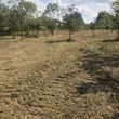 Photo #21: Land clearing, underbrush mowing, property reclamation