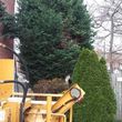 Photo #1: Tree and landscaping Service
