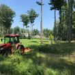 Photo #2: Bushogging Fieldmowing Ditch Mowing