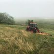 Photo #6: Bushogging Fieldmowing Ditch Mowing