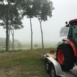 Photo #8: Bushogging Fieldmowing Ditch Mowing