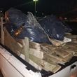 Photo #16: $50 Hauling Loads/Moving/Garbage Removal/Deliveries & Pickups..Save $$