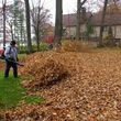 Photo #1: LEAF REMOVAL & other landscaping services