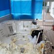 Photo #3: Hot Tub REMOVAL and Handyman Jobs