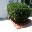Photo #5: Yardright Landscaping