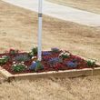 Photo #11: **Landscape, Patios, Fire Pits, Sod, Walls,Water Features, Drainage**