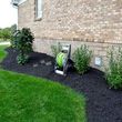 Photo #1: $40 🌳 trimming🌳 maintenance🏡🎑 mulching🍃