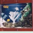 Photo #2: Aquarium Maintenance/Cleaning & Sales