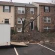 Photo #7: 
Douglas Lawn & Landscaping LLC