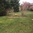 Photo #11: 
Douglas Lawn & Landscaping LLC