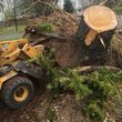 Photo #10: STUMP GRINDING