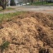 Photo #15: STUMP GRINDING