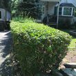 Photo #4: Full landscaping services/ Property management