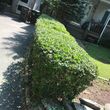 Photo #5: Full landscaping services/ Property management