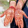 Photo #1: Professional Henna /Mehndi Artist for Weddings , Festivals and Events