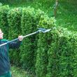 Photo #2: Lawn mowing, tree pruning, fall cleanup, mulching, etc.
