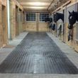 Photo #6: Dressage Facility- Lessons, Training, Boarding
