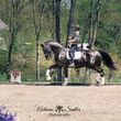 Photo #9: Dressage Facility- Lessons, Training, Boarding