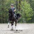 Photo #10: Dressage Facility- Lessons, Training, Boarding