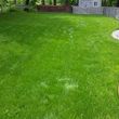 Photo #1: Lawn Repair