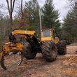 Photo #1: LAND CLEARING/ STANDING TIMBER WANTED